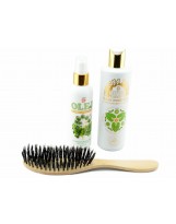 Regeneracyjna kuracja do włosów (szczotka + szampon + olej z łopianu)